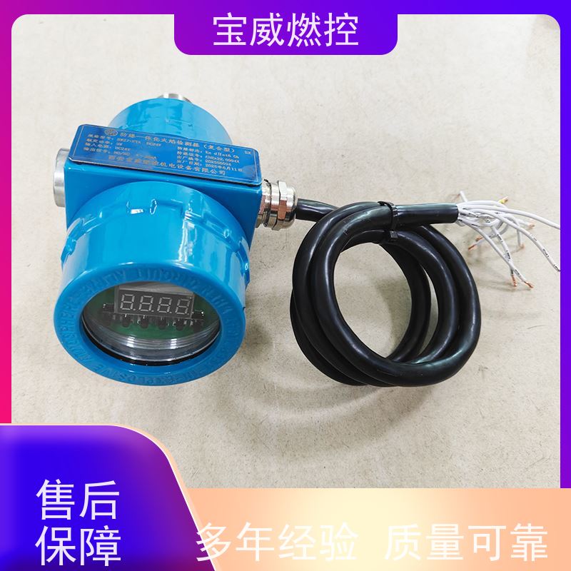 混合煤气燃烧器火焰检测器 紫红外一体化火检 防爆型