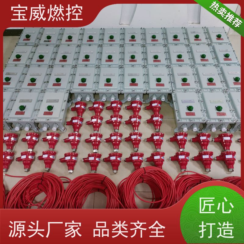宝威燃控 开关量信号输出 可非标加工 防爆分体式 在线火焰检测仪