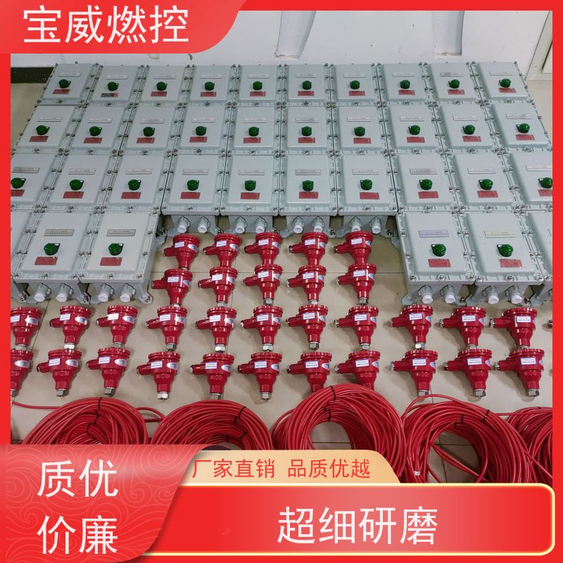 宝威燃控 工业火焰检测设备 防爆分体式 可非标加工 熄火延时1-3S