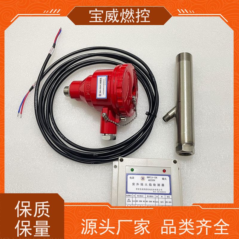 宝威燃控 AC220V 燃烧器火焰检测器 石化工业炉火检 快速响应