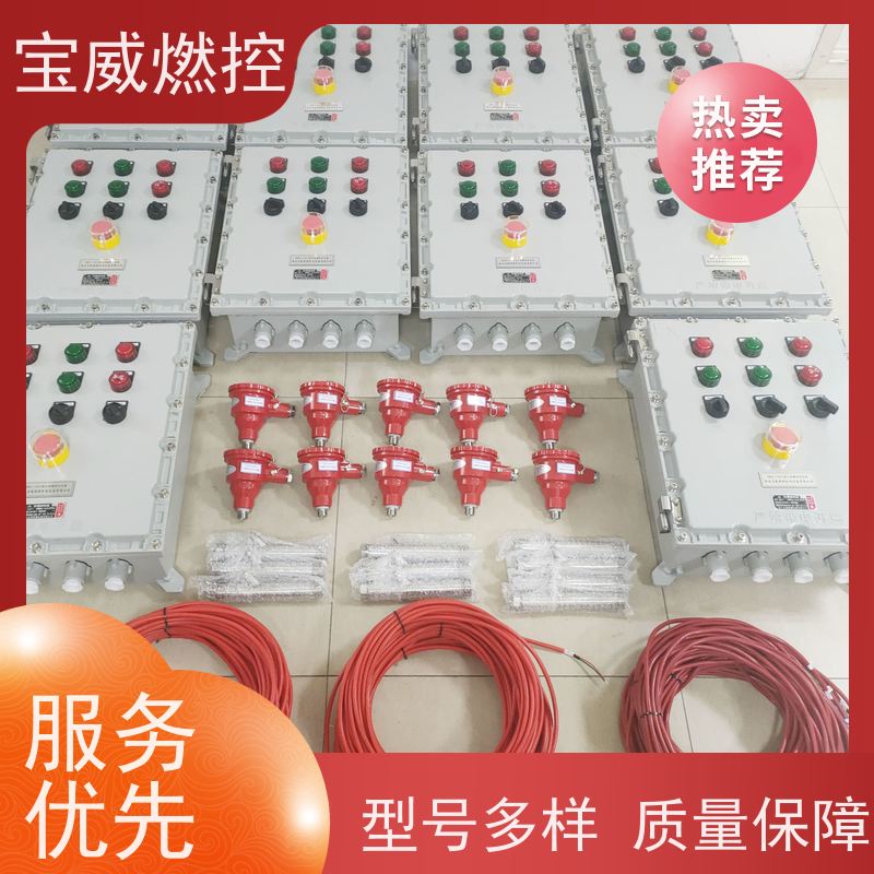 宝威燃控 化工厂 火焰监测熄火保护 紫外线型 非标定制