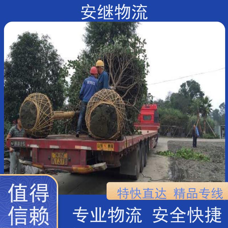 绍兴安继物流提供 上虞直达到株洲专线货运大件运输公司 