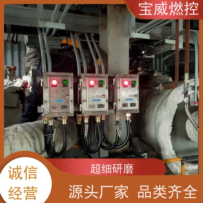 宝威燃控 工业火焰检测器 厂家供货常备库存 熄火延时1-3S