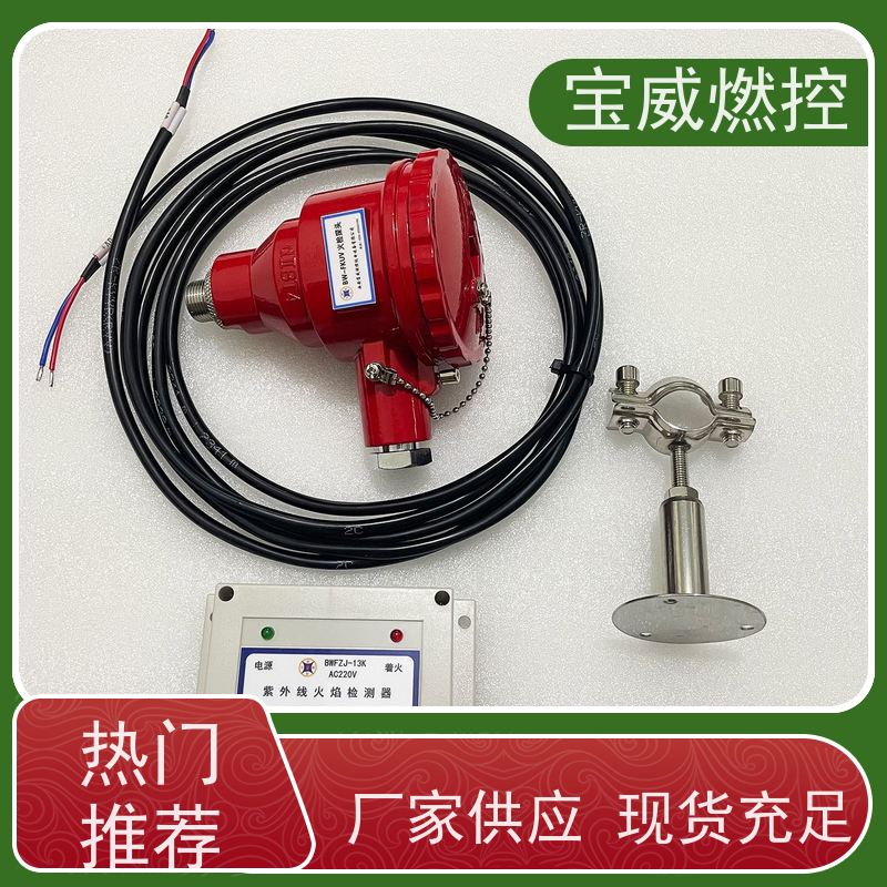 宝威燃控 DC24V 工业炉火焰检测器 化工厂加热炉火焰监测器