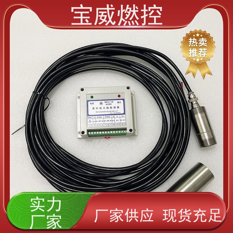 宝威燃控 AC220V 裂解炉/焚烧炉火焰检测器 工业炉窑火焰监测器