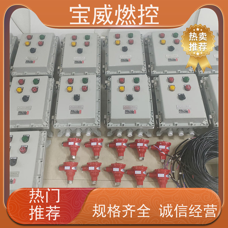 宝威燃控 焦化厂 熄火联锁控制器 紫外线型 非标定制