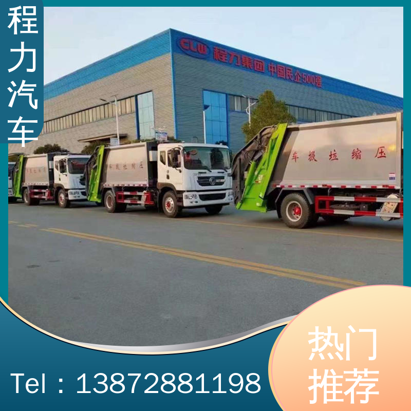 程力 小型 电动洗扫车 厂家直售 现车直发 四季通用 清洁效率高