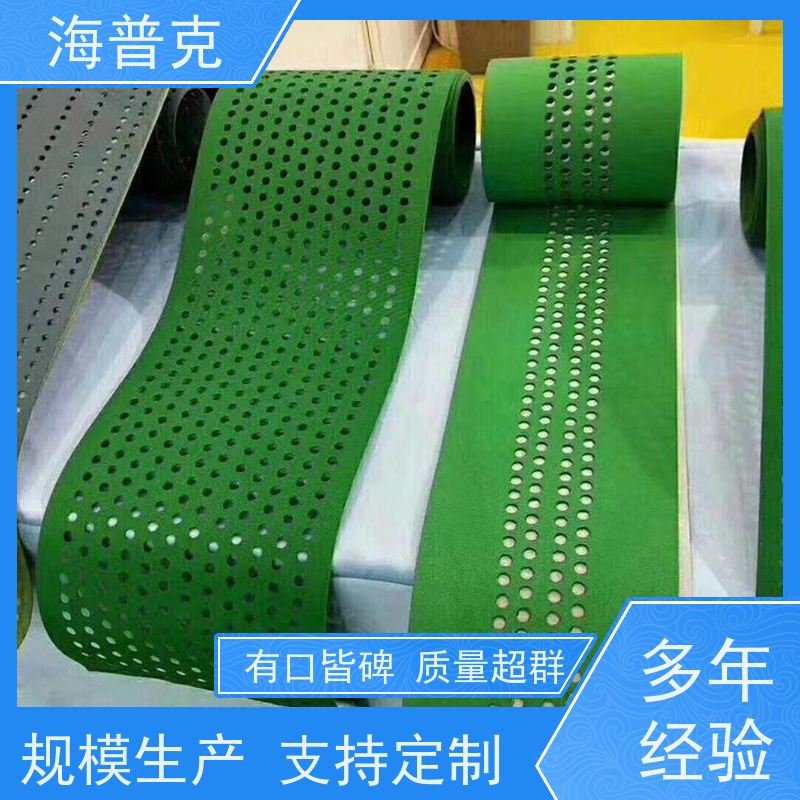 海普克 小型食品粮食 薄款耐磨低噪音 饼干糖果生产线 导条草纹输送带