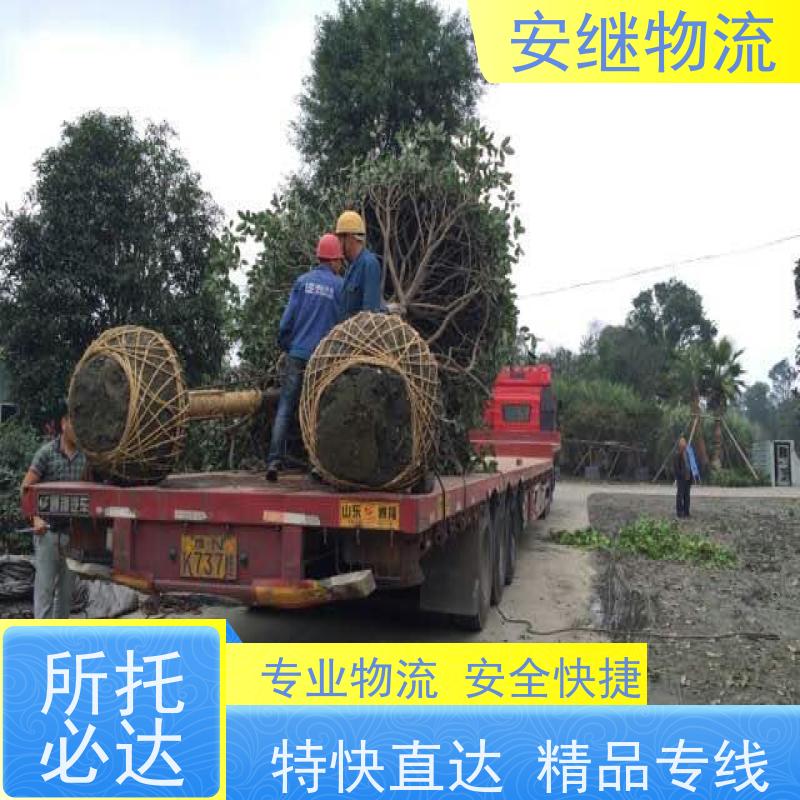 浙江安继物流提供 绍兴上虞直达到阿拉善盟专线大件特快运输公司 