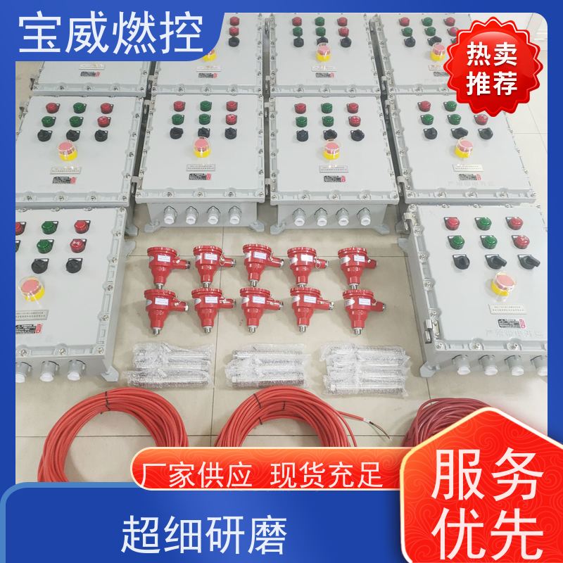宝威燃控 烘烤器 熄火检测保护装置 快速响应 性能稳定