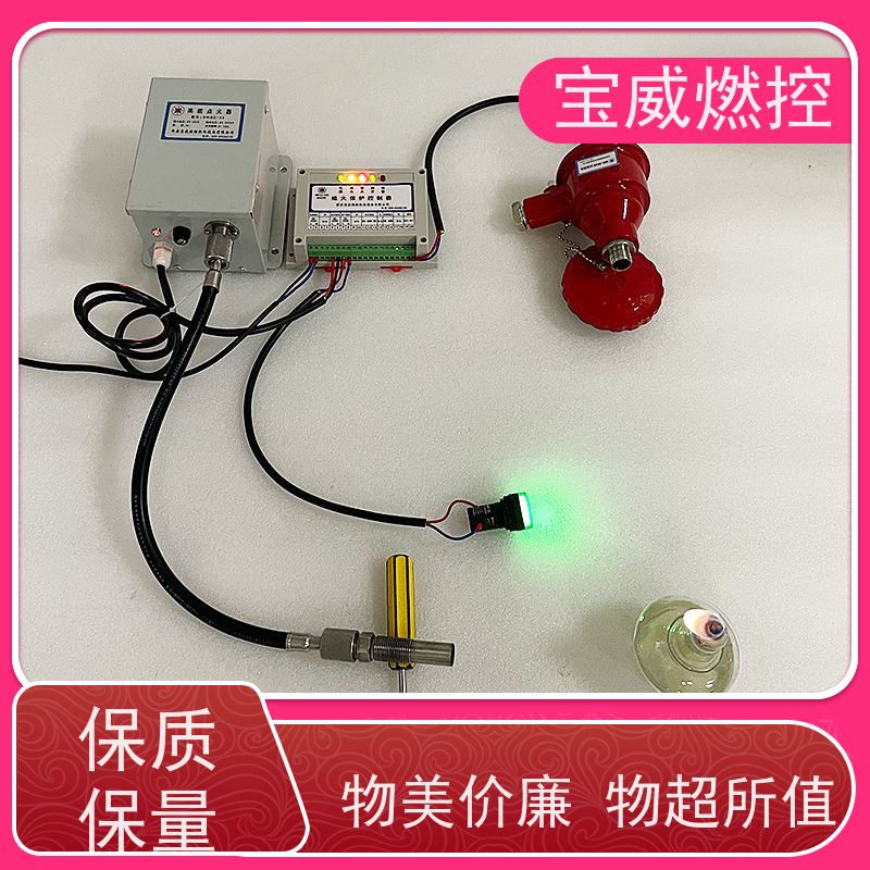 宝威燃控 AC220V 工业炉火焰检测器 继电器信号 在线火焰监测器