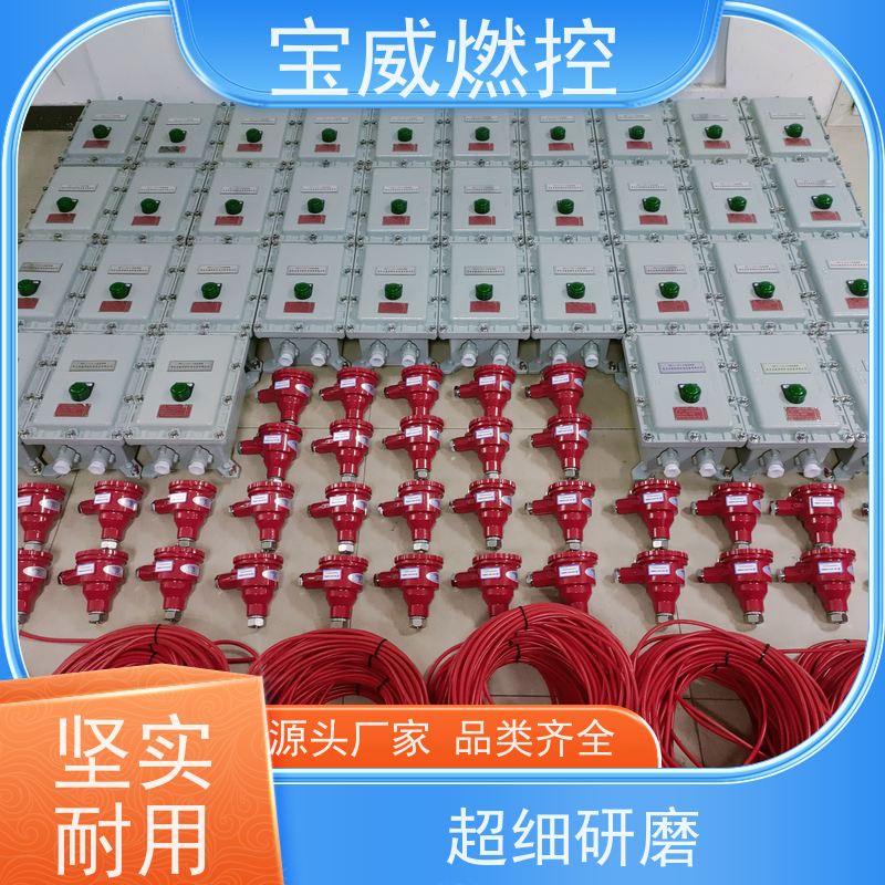 宝威燃控 防爆分体式 厂家供货常备库存 在线火焰检测仪