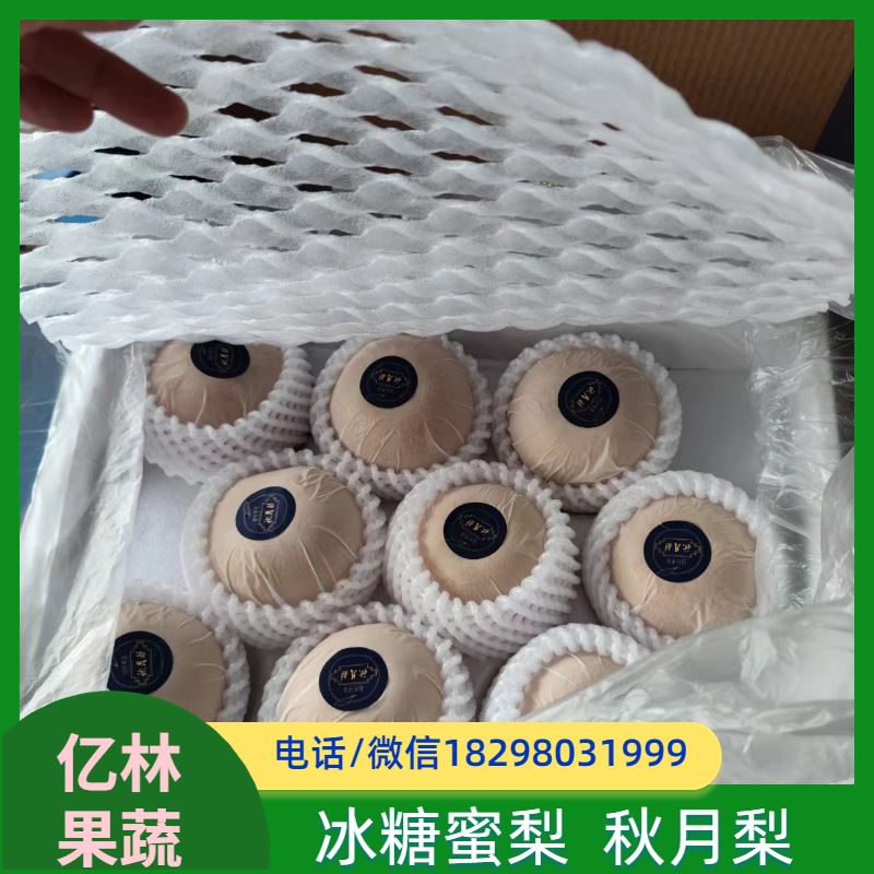 亿林苗木 根系饱满成活率高 晚熟品种梨 口感脆甜 圆黄梨树苗