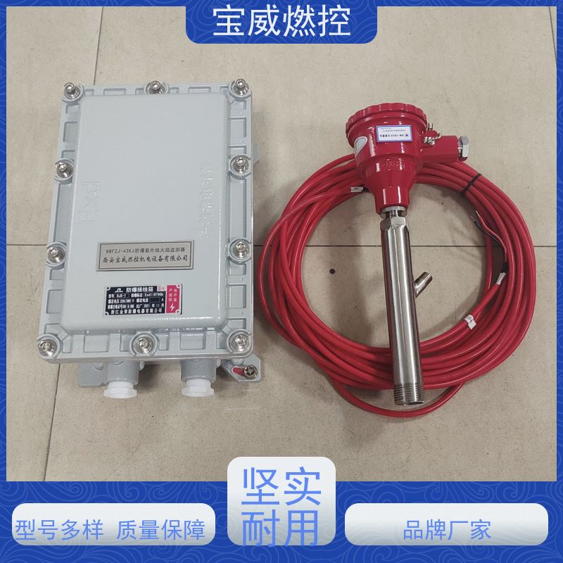 宝威燃控 工业火焰检测器 2868光敏管 可非标加工 防爆分体式