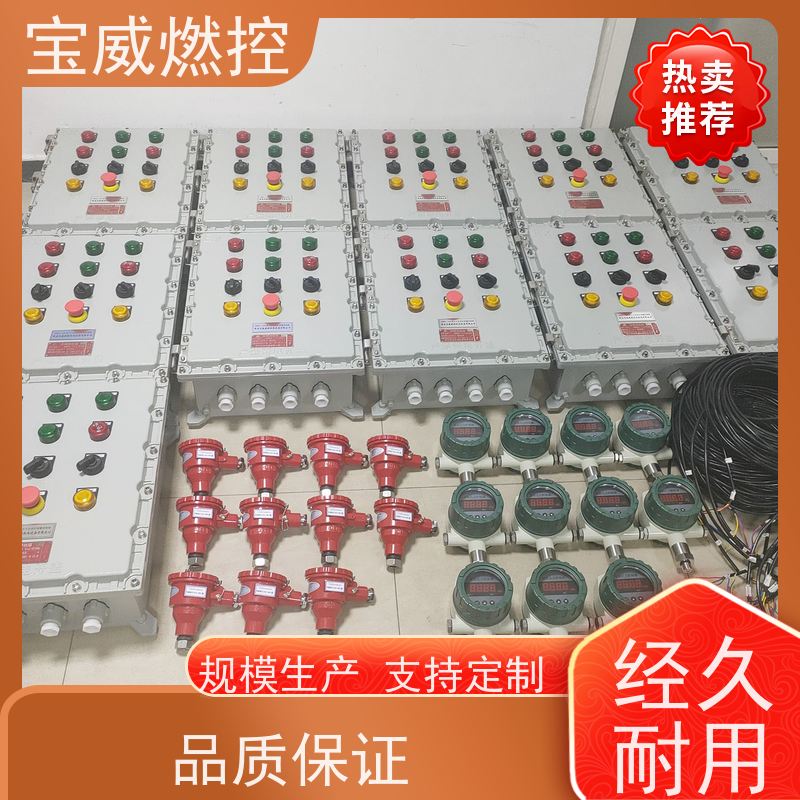 宝威燃控 台车炉 熄火检测保护装置 快速响应 性能稳定