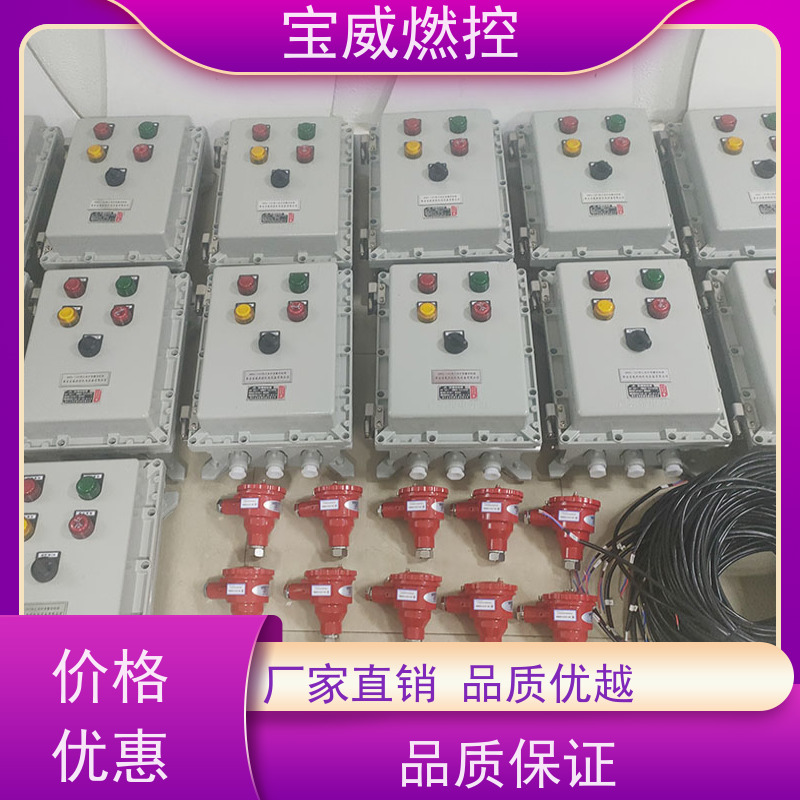 宝威燃控 台车炉 熄火保护报警控制箱 紫外线型 非标定制