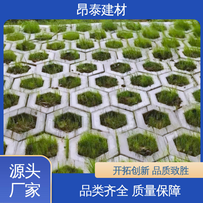 实力商家 耐磨耐风化 六角护坡砖 做工精细 混泥土空心砖