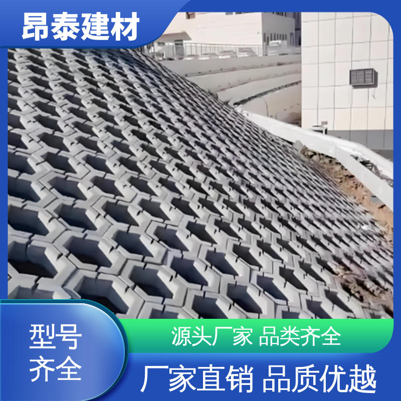 边长20cm 尺寸按需生产 防腐性能高 六角护坡砖 实力商家
