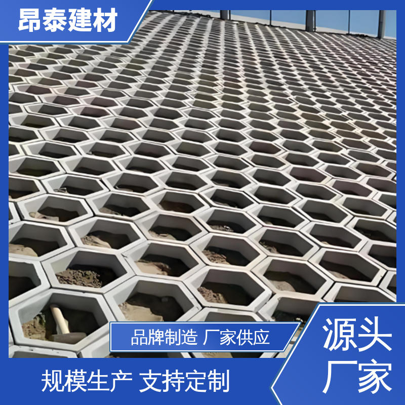 六棱护坡砖 出货质检 承压能力强 仿花岗岩砖 源头工厂