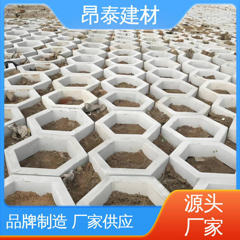 源头工厂 六角护坡砖 水泥空心六棱块 防水效果好 出货质检