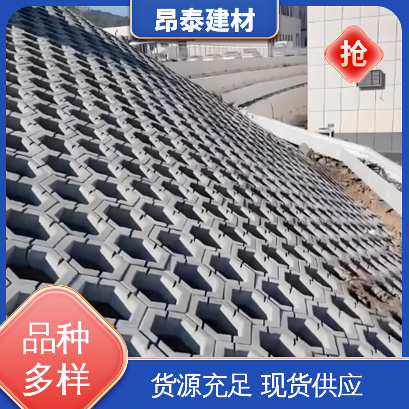 多年行业经验 耐磨耐风化 六棱护坡砖 做工精细 昂泰建材