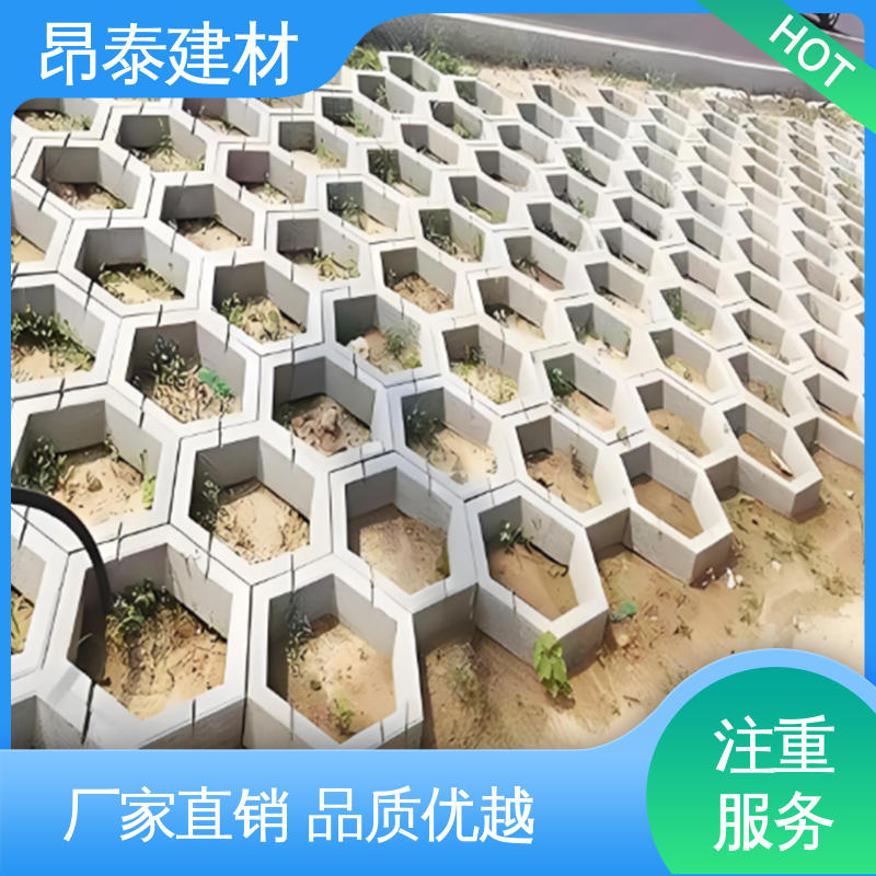 六角护坡砖 壁厚5cm 防腐性能高 多年行业经验 成品预制