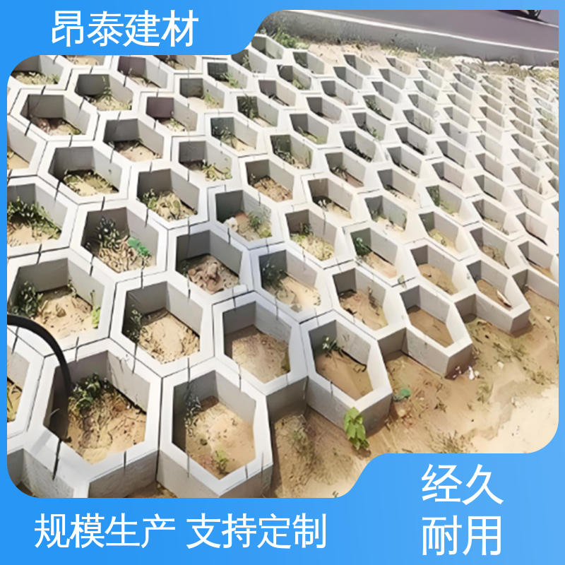 实力商家 六角护坡砖 送货上门 混泥土实心砖 抗渗漏性强