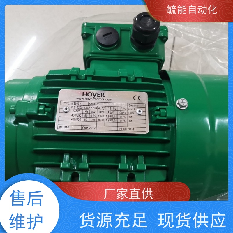 丹麦HOYER霍尔电机/船用/工业铸铁三相异步交流电动机/HMA2/HMC2