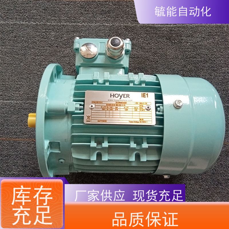 HOYER电机MS5624 7124 HMA2 8024 90L4 100L4 112M4 132M4 HMA3