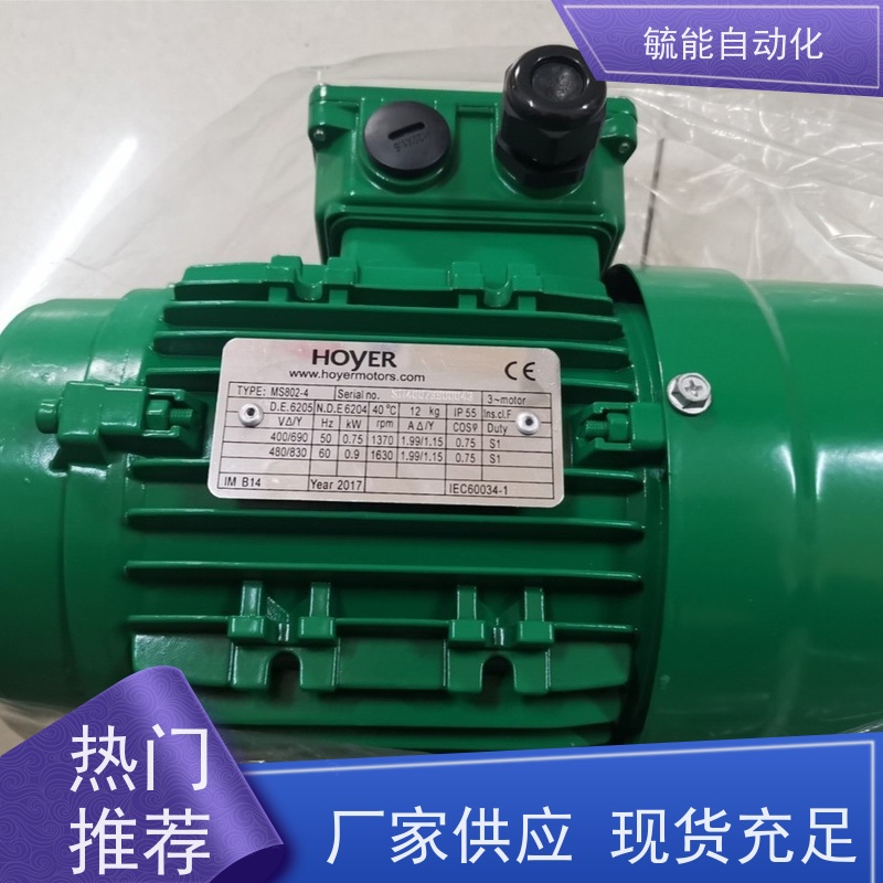原装进口供应丹麦HOYER交流电机IE4 单相电机 制动器