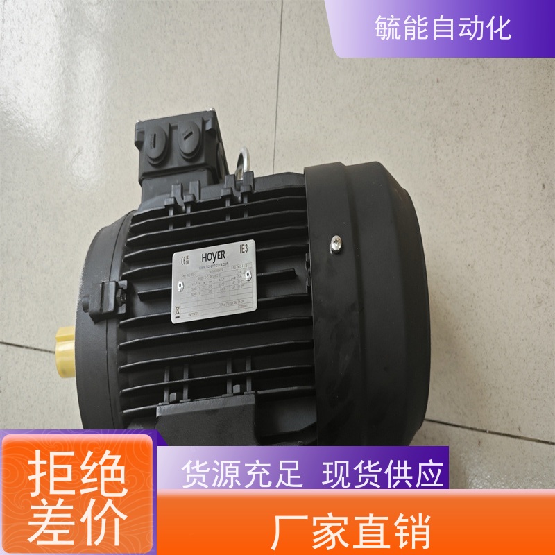 丹麦HOYER电机 HMA2 100L1-4 原厂代购德国工业产品备品备件