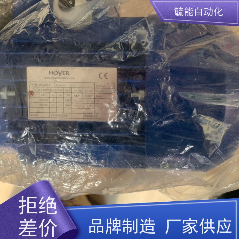 丹麦HOYER霍尔电机 三相异步电动机 铸铁铝壳HMC3 200L4船用 包邮
