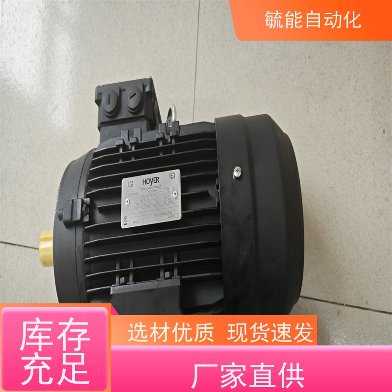 霍尔HOYER三相异步低压电机TEFV鼠笼400V Y – Hoyer IE2 电机 3