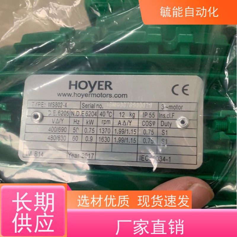 丹麦HOYER Motor三相异步电动机/船用/工业电机MS/Y2E2/HMA2/HMC3