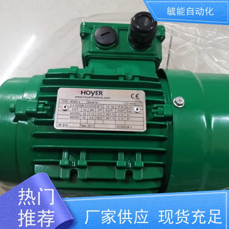 丹麦霍尔HOYER三相异步电动机基座246级IE4能效节能高效机械设备