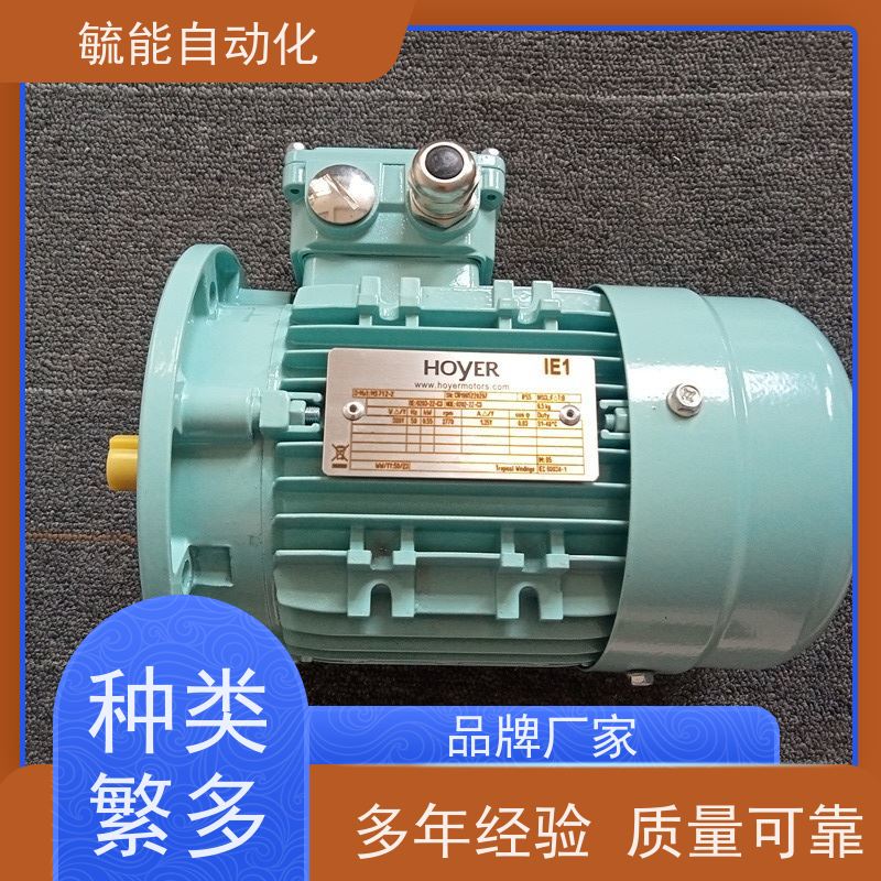 HOYER霍尔电机HMA2 HMC2铝壳铸铁电动机MS Y2E2 HMA3 HMC3船用