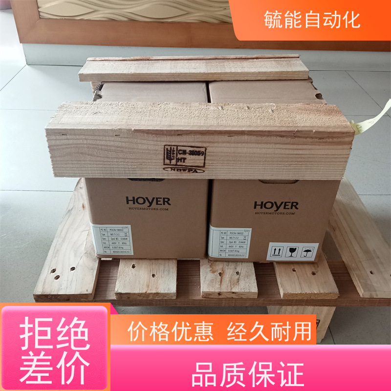 丹麦HOYER Motori霍尔三相异步电动机铝壳铸铁IE1 IE2 IE3 IE4