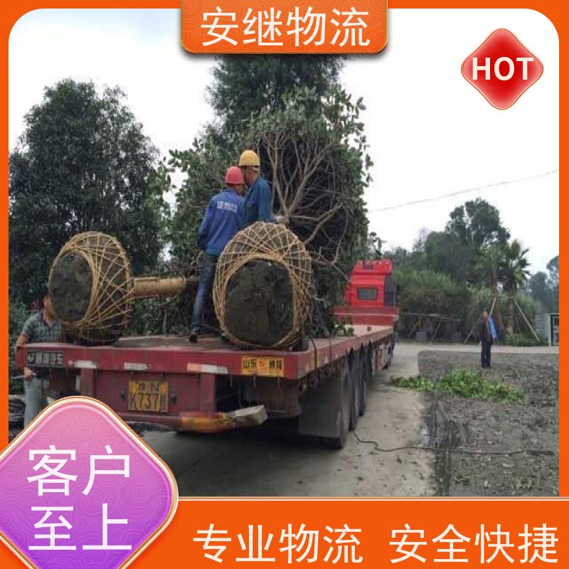 绍兴 上虞 越城到许昌物流公司 零担运输专线 特快货运直达 