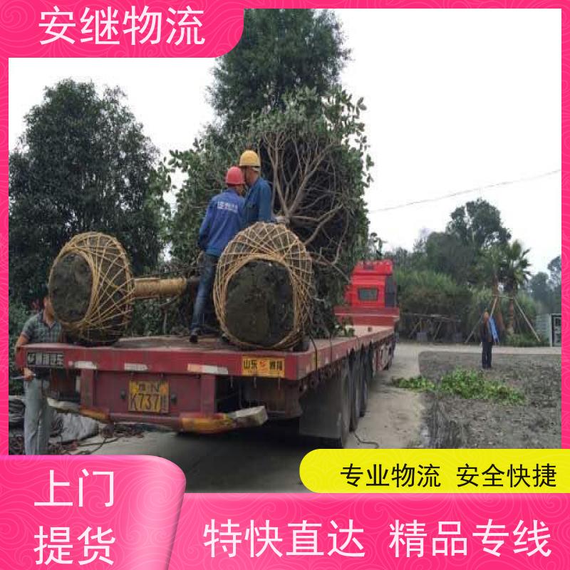 绍兴安继 承接浙江 嵊州到鹰潭物流公司 直达专线 运输货运 