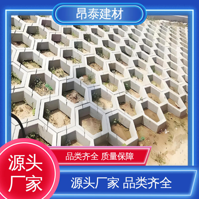 防腐性能高 送货上门 六棱护坡砖 多年行业经验 实力商家