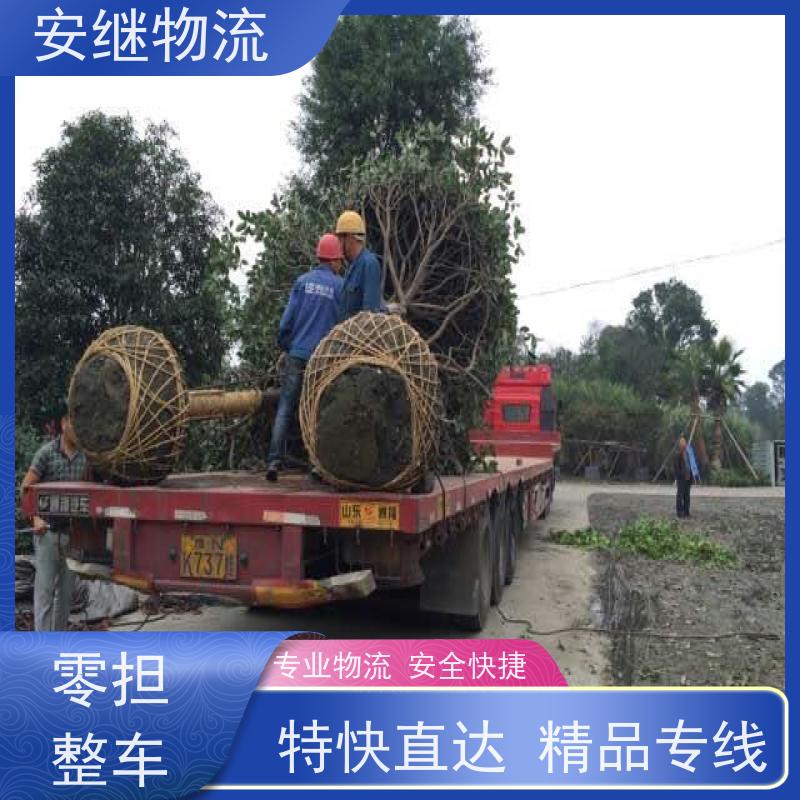 浙江 绍兴 新昌县到鸡西物流公司 零担货运专线 一站式直达运输