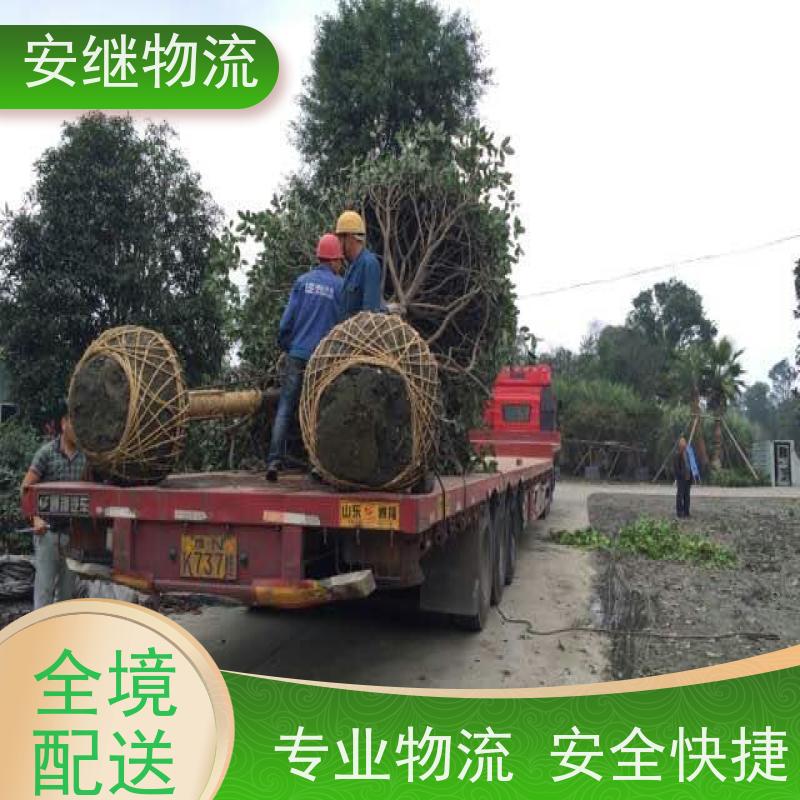 浙江安继提供绍兴诸暨到万州物流公司直达专线 运输托运 