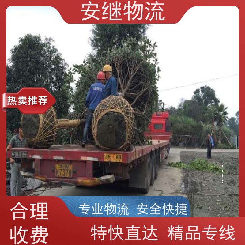 绍兴安继 承接浙江 嵊州到揭阳物流公司 直达专线 运输货运 