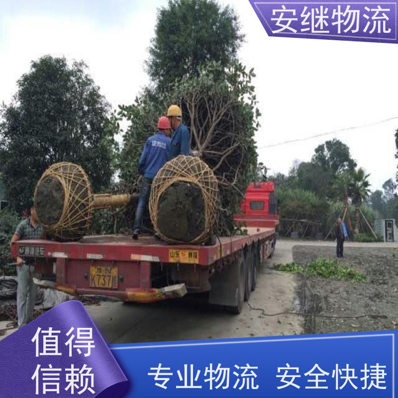 浙江安继提供绍兴诸暨到资阳物流公司直达专线 运输托运 