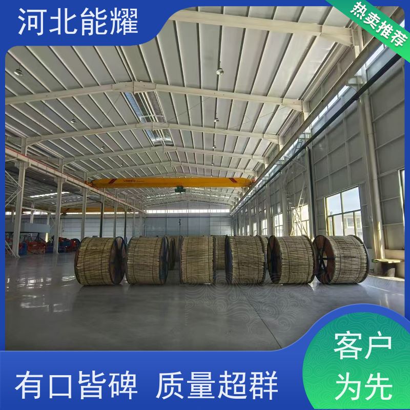  使用寿命长 质量保证 钢芯铝绞线 2xJL/G1A-1250/100 精选原料