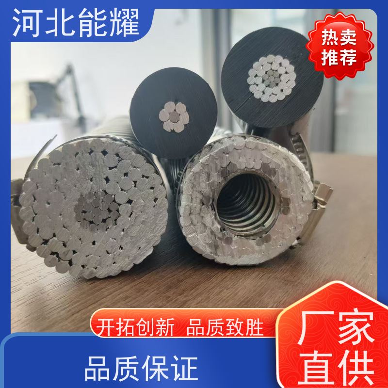  适用于各类电压等级 防腐钢芯铝绞线 JL3/G1A-1250/50 品质无忧