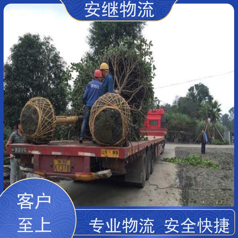 绍兴 越城 柯桥到滁州物流公司 零担运输专线 特快货运直达 