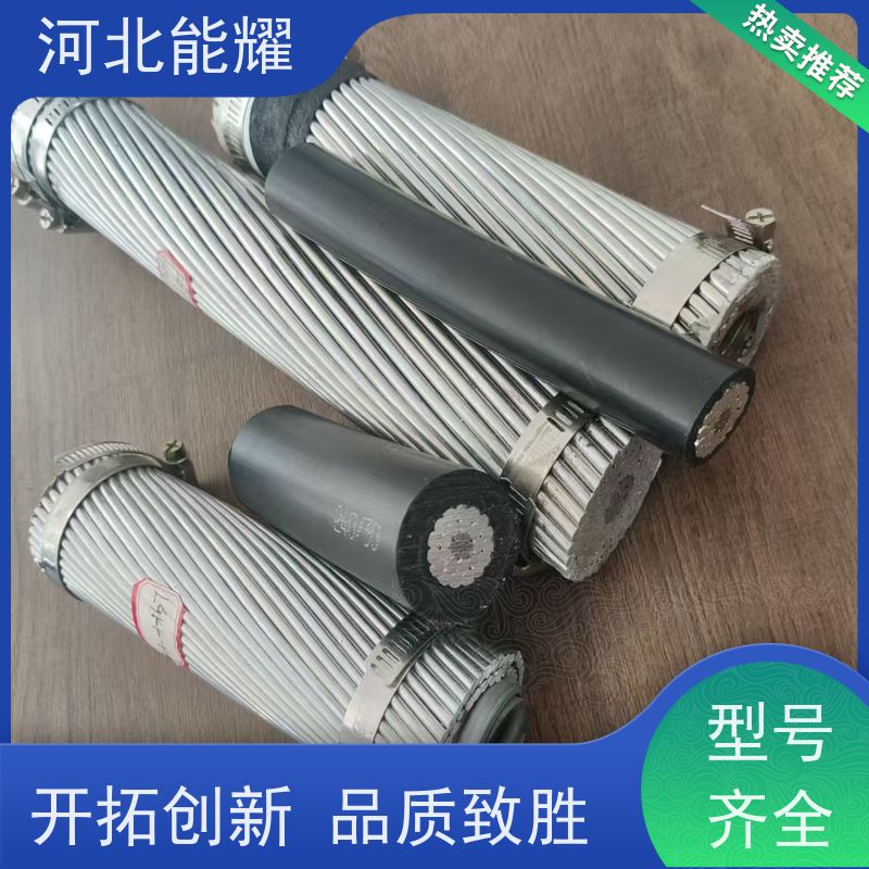  环保材料 按需定制 稀土钢芯铝绞线 JL/G2A-900/75 大型生产基地