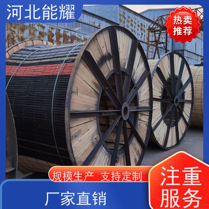  多规格可选 支持加工 高强度钢芯铝绞线 2xJL/G1A-900/40 电工圆铝