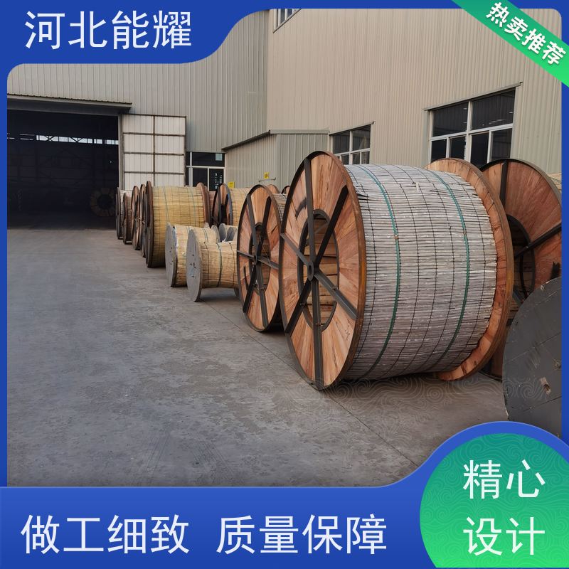  货源基地 生产定制 防腐钢芯铝绞线 2xLGJQT-800/65 镀锌层均匀
